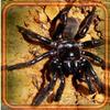 Spiders Danger icon