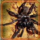 Spiders Danger иконка