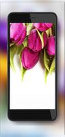 Tulips Drops syot layar 1