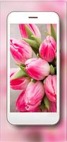 Tulips Drops syot layar 3