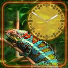 Tropical Forest Clock иконка