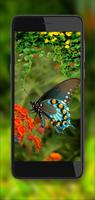 Wild Tropical Jungles скриншот 1