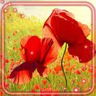Wild Poppy Red 圖標