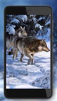 Winter Wolves HD स्क्रीनशॉट 1