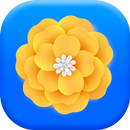 Gallery APK