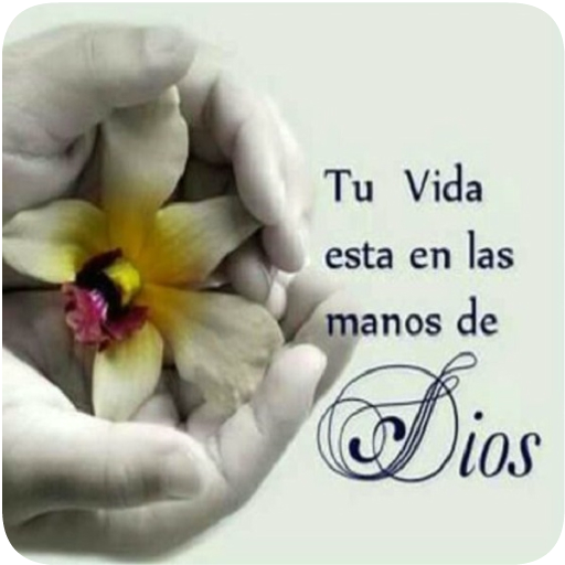 40 Best Frases Cristianas O Reflexiones Con Imagenes Alternatives And Similar Apps For Android Apkfab Com
