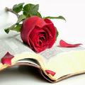 Frases de Libros de Amor