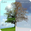 Los Meses del Año