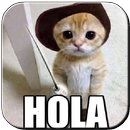 Hola Cómo estás APK