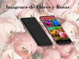 Imagenes de Flores y Rosas plakat