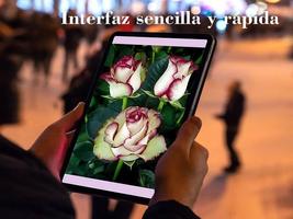 Imagenes de Flores y Rosas تصوير الشاشة 1