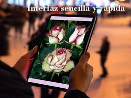 Imagenes de Flores y Rosas screenshot 1