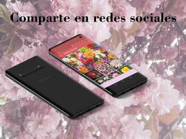 Imagenes de Flores y Rosas screenshot 3