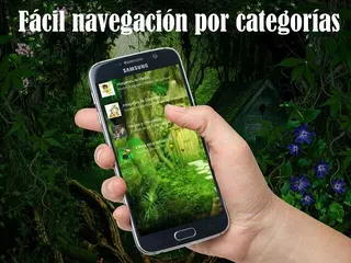download Imagenes de Hadas y Duendes APK