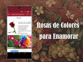 Poster Rosas de Colores para Enamorar