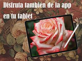 Rosas de Colores para Enamorar captura de pantalla 3