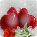 Imagenes con Frases de Amor Bonitas APK