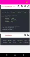 JavaScript Exercises screenshot 7