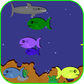 Fish, Fish, SHARK!
