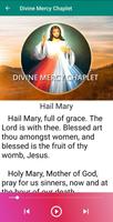 Divine Mercy Audio Prayers capture d'écran 1