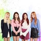 Blackpink HD Wallpapers 2023 ikona