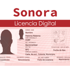 Licencia Digital icono