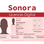 Licencia Digital ikon