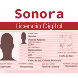 Licencia Digital ไอคอน