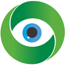 NEW LINE HD P2PX APK