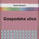 Gospodska ulica APK