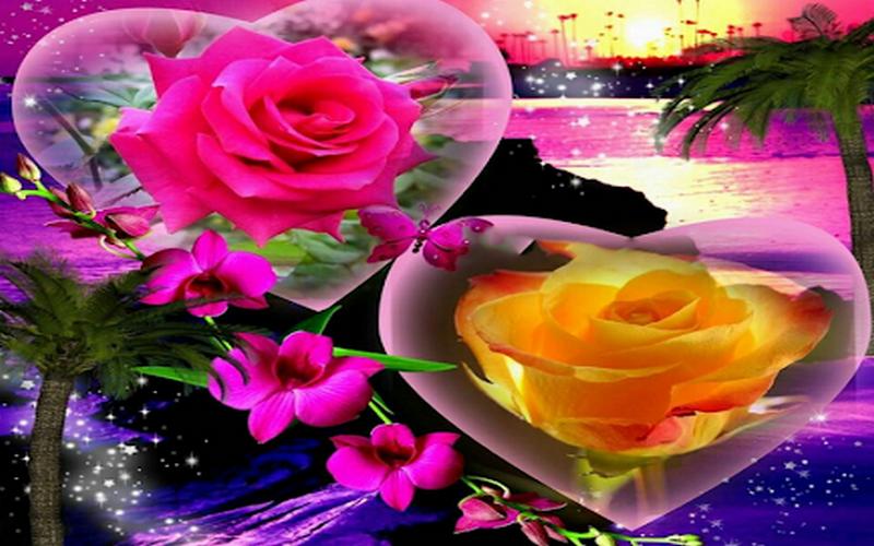 Beautiful flowers and roses pictures Gif APK pour Android Télécharger Beautiful flowers and roses pictures Gif APK pour Android Télécharger