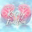 Understanding Kidney Function ikon