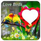 Love Birds Photo Frames-icoon