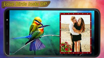 Love Birds Photo Frames screenshot 2