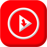 Newpipe 4K Downloader