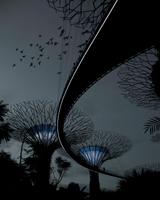 Birds Wallpapers 스크린샷 1