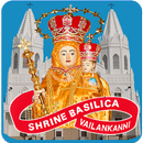 Vailankanni Shrine Live Mass APK