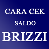 Cara Cek Saldo Brizzi BRI-icoon