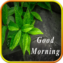 Good Morning Cards APK