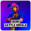 Daily Skins Battle Royale