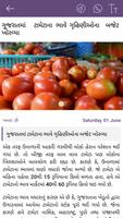 Rajkot News screenshot 3