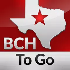 BCH to Go