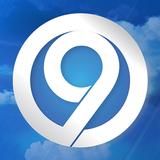 WSYR LiveDoppler9 LocalSYR ikon