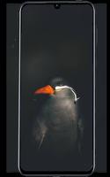 Super AMOLED Wallpapers screenshot 2