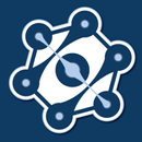 APK LinkLayer VPN(DNS,UDP,V2RAY)