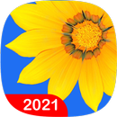 Gallery APK