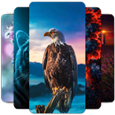 Wallpapers and Backgrounds HD APK