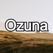 Ozuna Songs icon