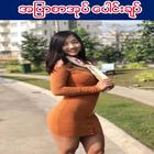 အျပာစာအုပ္မ်ား ေပါင္းခ်ဳပ္ icône