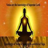 Patanjali Yog APK